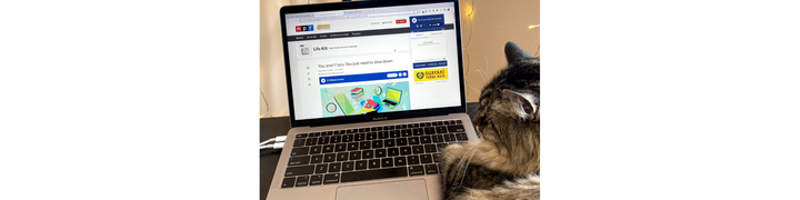 Phoenix, a tabby cat, sitting next to an open laptop screen.